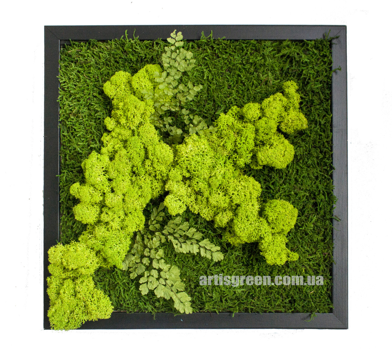 Картина зі стабілізованого моху і рослин "Свіжість лісу 2", P14