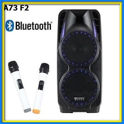 Акустика на акумуляторе з мікрофонами A73 Bluetooth