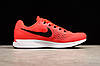 Кросівки чоловічі Nike Air Zoom Pegasus 34 / NKR-673, фото 5