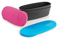 Набор SnapBox oval 2-pack Fuchsia/Cyan, 40414513