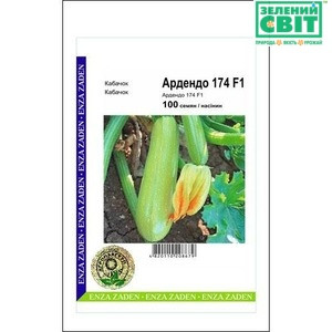 Насіння кабачка Ардендо F1, 100 насінин — ранній гібрид (40-45 днів), світлий Enza Zaden