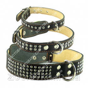 CoLLar Шкіряний нашийник зі стразами (чорний), фото 1