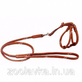 CoLLar SOFT Кругла шкіряна шлея з повідцем для собак і кішок No1