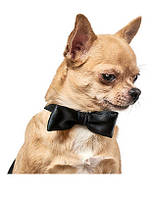 Аксесуар «Метелик»