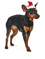 Колпак «Новогодний»