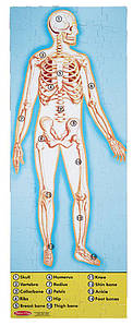 Двосторонній пазл підлоговий "Будова людини" 100 ел. /Human Anatomy Floor Puzzle-Double-Sided ТМ Melіssa & Doug MD445