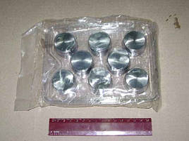 Гидротолкатель Газель, Волга (комплект 8 шт) виробництво INA