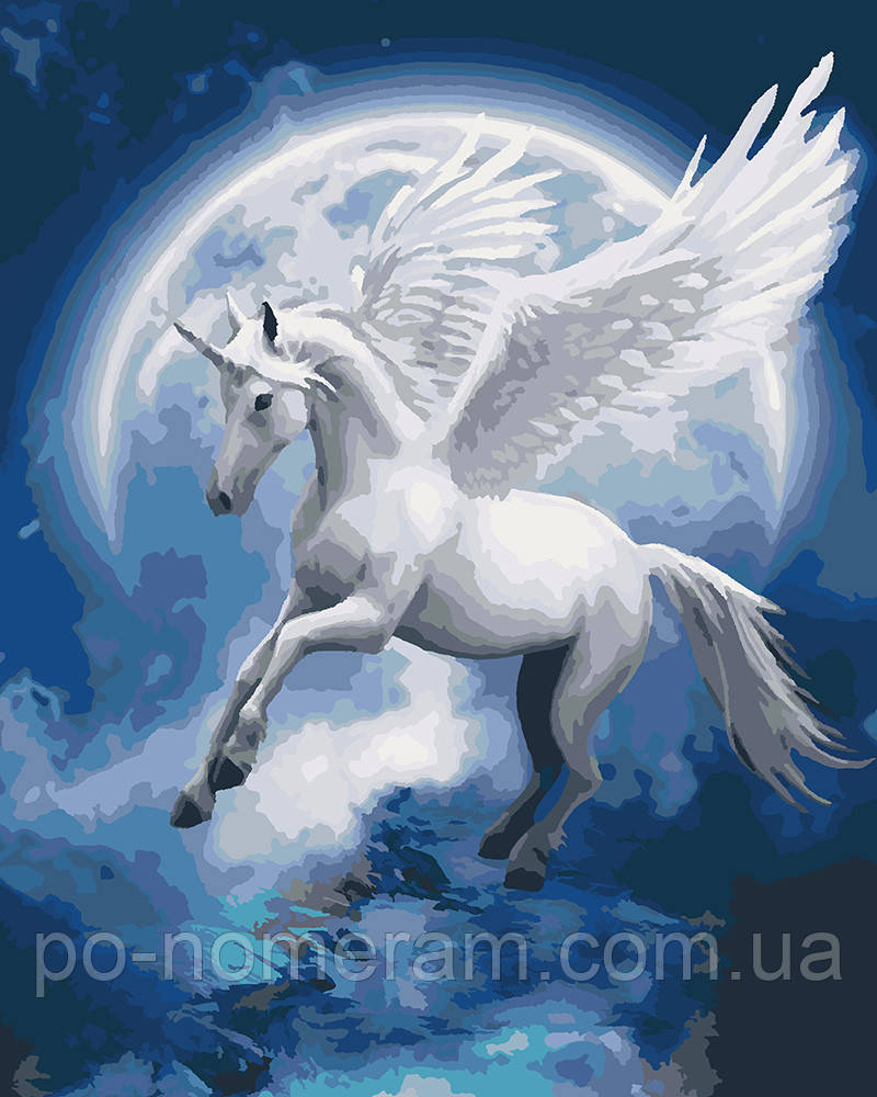 Акційна Розмальовка для дорослих Ідейка Сузір'я пегаса (KHO4022) 40 х 50 см, фото 1