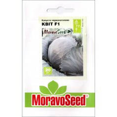 Насіння Капута червоношкіряна Квіт F1, 20 насіння MoravoSeed