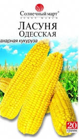 Насіння Кукурудза цукрова Ласуня Одеська 20 грамів Сонячний Март, фото 1