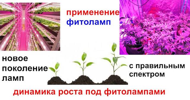 фитолампы для теплиц