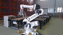 Універсальний робот HS-RAW06 HWASHI