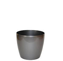 "Магнолия" 250