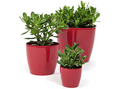 Вазон квітковий "Магнолія" 180