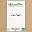 Збір лікарських трав з високим вмістом Звіробою, 100г., фото 2