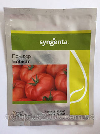 Насіння Томат детермінантний Бобкат F1, 1000 насіння Syngenta, фото 1