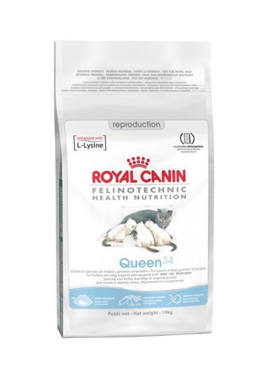 Royal Canin (Роял Канин) Queen Сухой корм для беременных и кормящих кошек, 4 кг