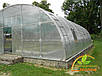 Каркас 10х50м під полікарбонат від виробника для теплиці "Западенська 10+", фото 6