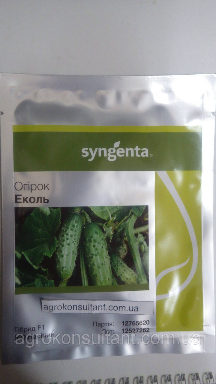 Насіння огірка Еколь F1 (Syngenta), 500 насінин — партенокарпик, ранній гібрид (40-44 дні)