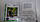 Насіння огірка Артист F1 (Бейо / Bejo), 100 насінин - партенокарпік, ультраранній гібрид (40-43 дні), фото 2