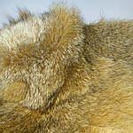 Комір капюшон лисиця готовий крій 30 см х 90 см , фото 3