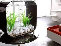 Акваріумістика