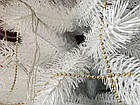 Ялина Канадська Лита біла 180 см, фото 2