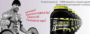 Креатин моногідрат BioTech USA Creatine Monohydrate 300 г Угорщина, фото 3