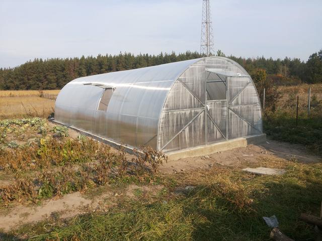 теплиці в Києві