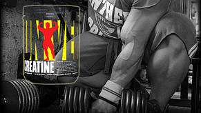 Креатин Creapure Universal USA CREATINE POWDER 300 г, фото 2