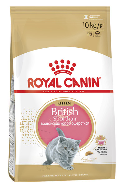 Royal Canin (Роял Канін) KITTEN BRITISH SHORTHAIR корм для кошенят британських короткошерстих, 2 кг
