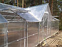Тепліці Ужгорода, фото 5