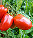 Семена Томата Яки F1 \ Yaqui F1 1000 семян Seminis , фото 2