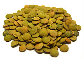 Сочевиця зелена