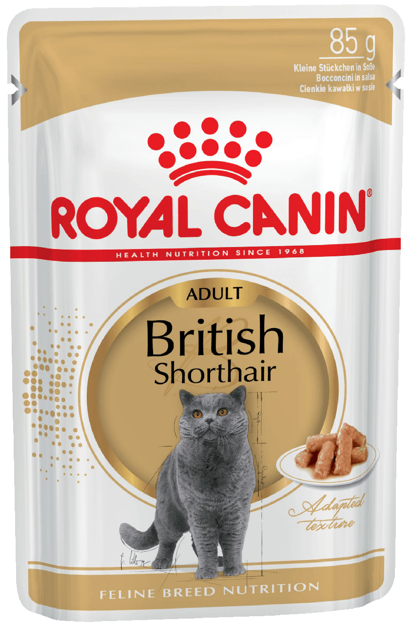 Royal Canin (Роял Канін) British Shorthair adult вологий корм для британських котів старше 1 року, 85 г
