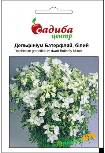 Семена цветов Дельфиниум Батерфляй , белый (Бадваси), 0,2г - фото 1 - id-p442483760