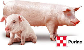 Концентрат для поросних та лактуючих свиноматок 20040 (25 кг)