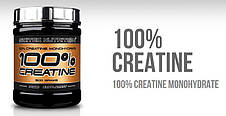 Creatine 100% Scitec Nutrition 1000 г, фото 2