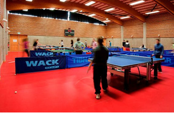 спортивний лінолеум бюджетного класу Tarkett Omnisports V 35 Speed