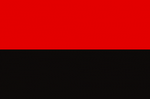 Прапор ОУН, УПА (90х140см), фото 2