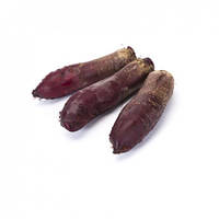 Буряк Ломако/Lomako 25000 насіння Rijk zwaan (2.75 - 3.5 мм)