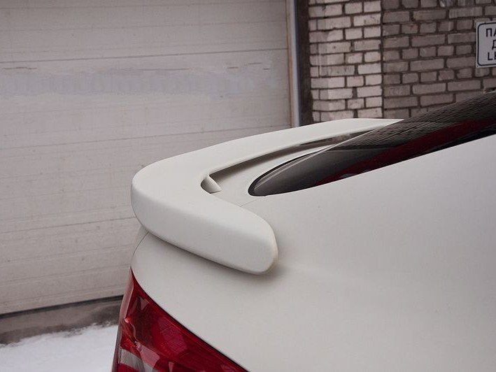 СПІЙЛОР НІЖНІЙ BMW X6 E71 СТИЛЬ HAMANN (ABS)