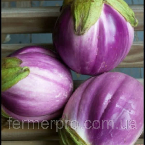 Насіння баклажана Сабеле F1/Sabelle F1 1000 насіння Rijk Zwaan, фото 1