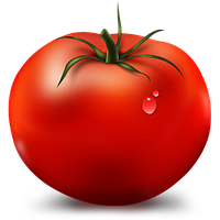 Насіння томатів (помідор)