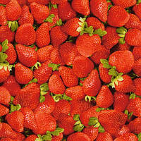 Основний розділ