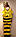 Костюм Бджілка ТМ р. 134-158, фото 2