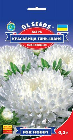 Астра Красавица Тянь - Шаня, фото 2