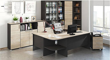 Офісні меблі в офіс для офісу меблі в кабінет керівника Діловий офісні столи шафи тумби