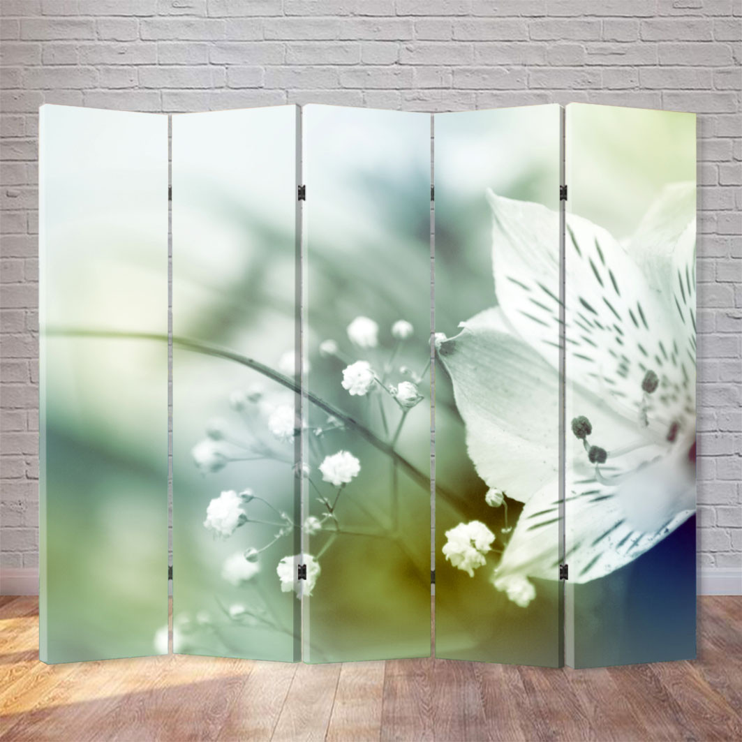 Ширма "Ніжна квітка"