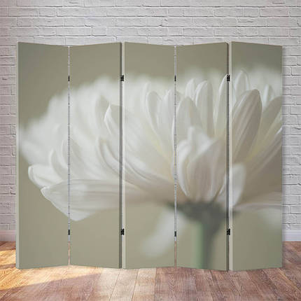 Ширма "Білі пелюстки", фото 1